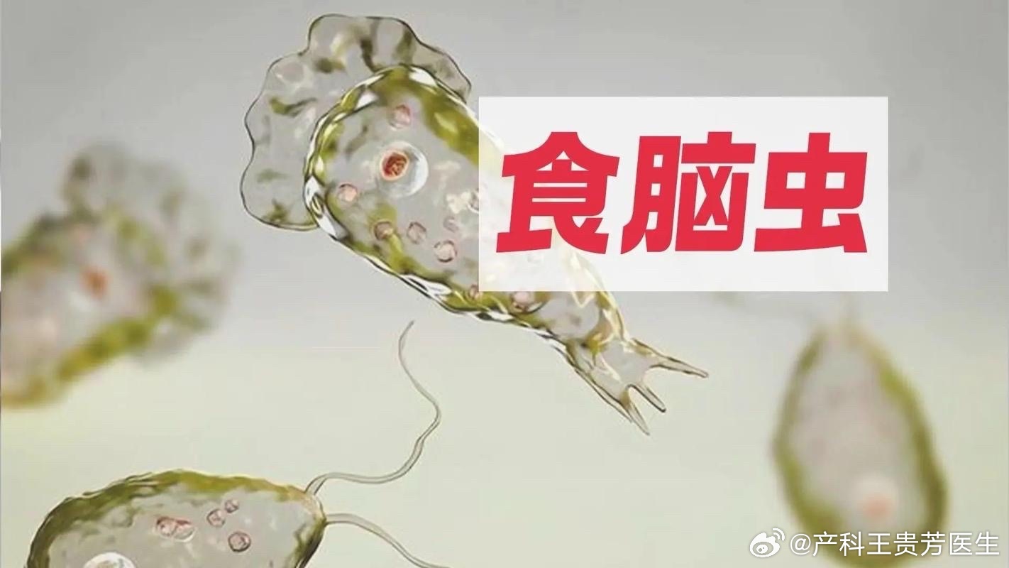游戏专题 第20页
