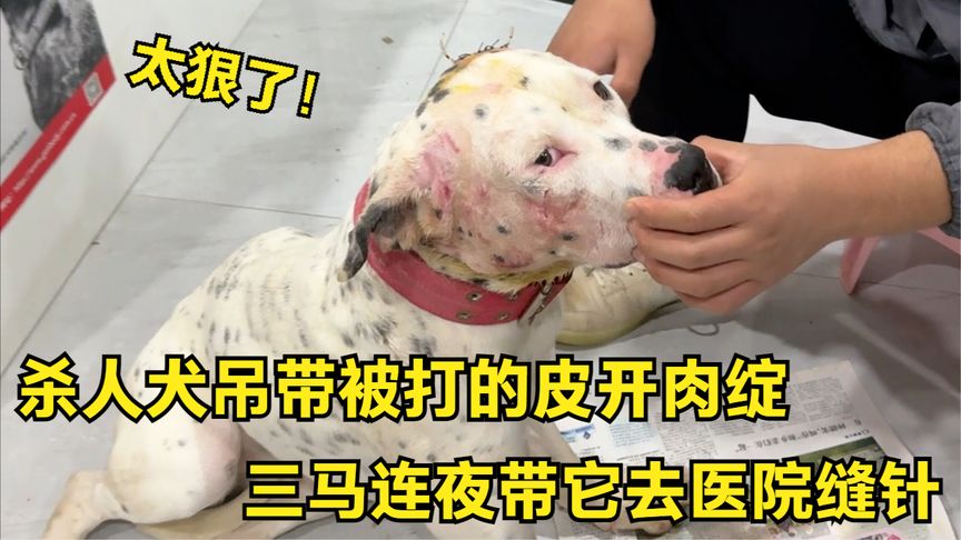 地方新闻 第14页
