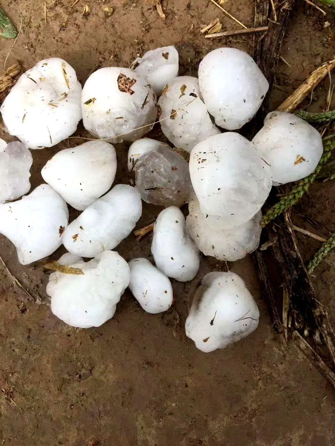甘肃一县遭遇十年不遇冰雹袭击