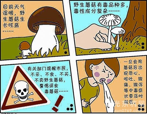 在国外误食毒蘑菇怎么处理在国外误食毒蘑菇怎么办？全面的应急处理指南